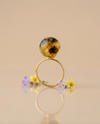 Amber ring, silver 925 "Uranus"