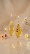 Amber earrings, silver 925 "Subtlety"