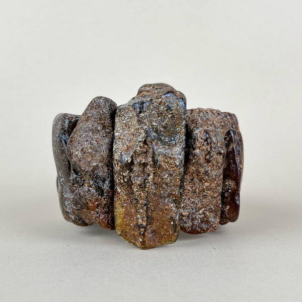 Gintarinė apyrankė "Girios turtai"