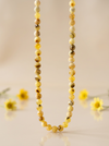 karoliaigintarasmargas