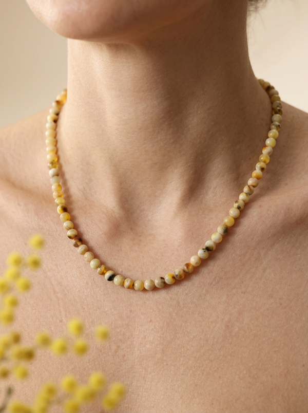 karoliaigintariniai_8
